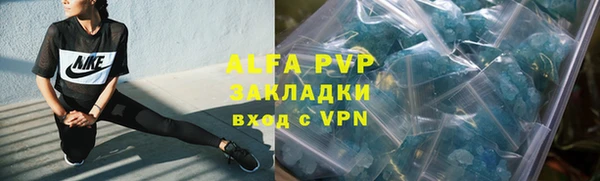 сатива Железногорск-Илимский