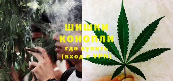 сатива Железногорск-Илимский