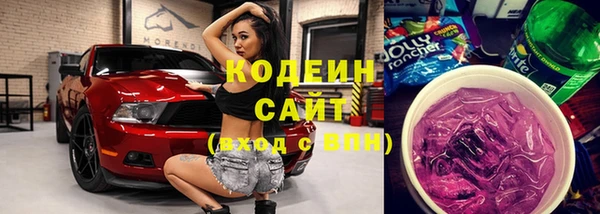 ПСИЛОЦИБИНОВЫЕ ГРИБЫ Михайлов