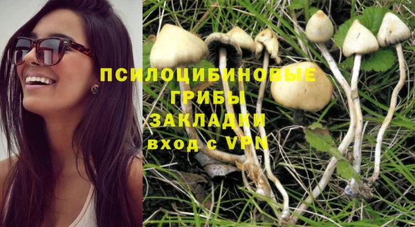 прущая мука Олёкминск