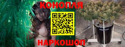 стаф Жуковский