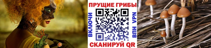 Галлюциногенные грибы ЛСД  Истра 