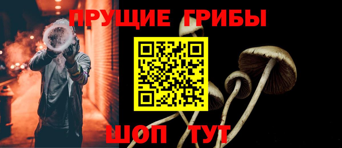 купить наркотик  Вход с VPN  Истра  Галлюциногенные грибы Cubensis 